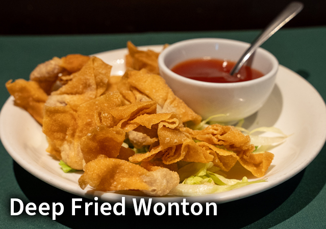 Deep Fried Wonton